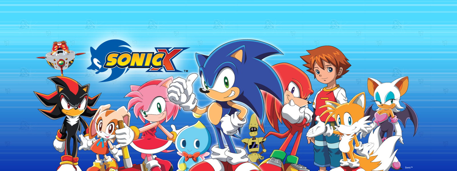 Sonic X Anime and OVA Movie the Japanese take on the hedgehog