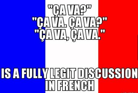 Understanding and Finding French Memes