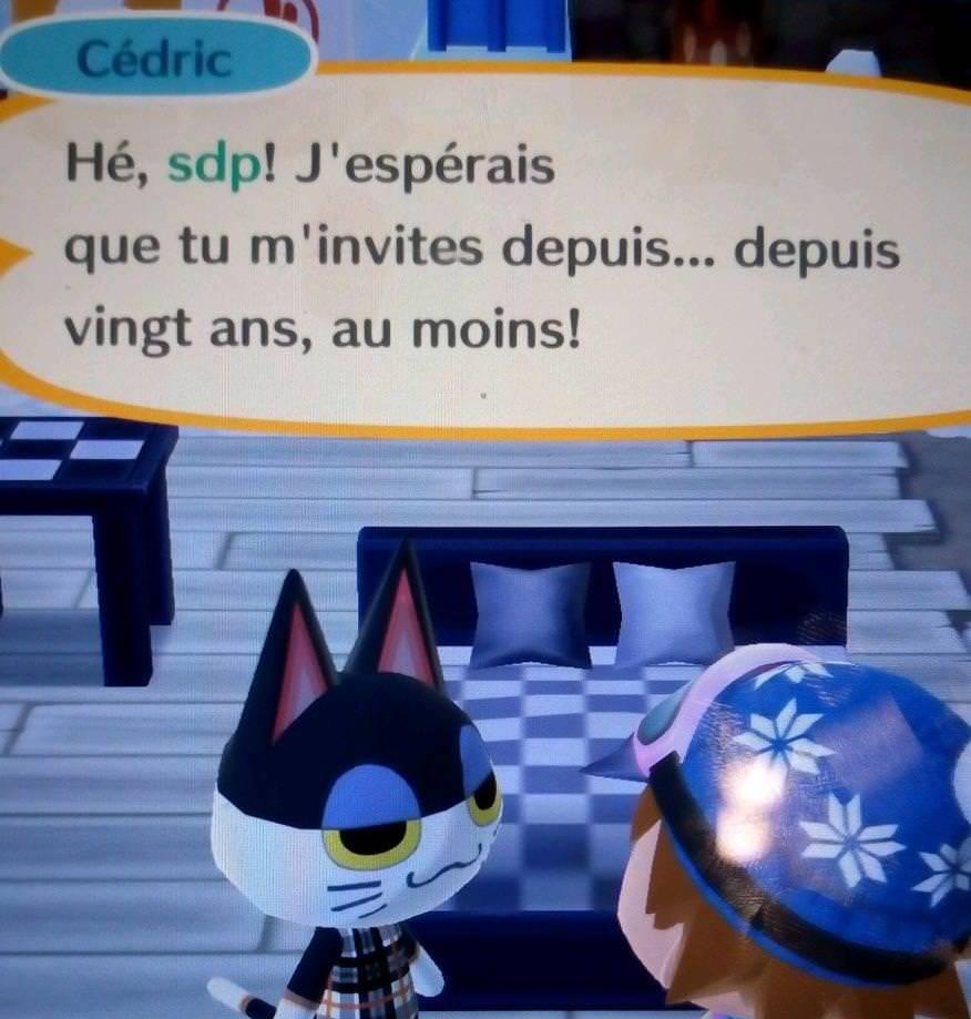 Using Nintendo’s Animal Crossing to learn another language (French)
