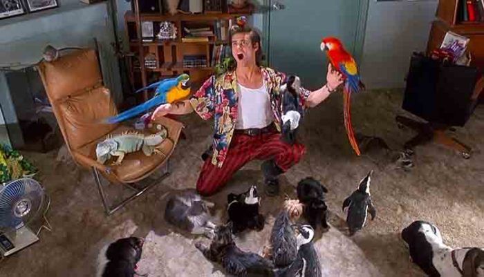 remembering-the-ace-ventura-movie-trilogy-miscrave